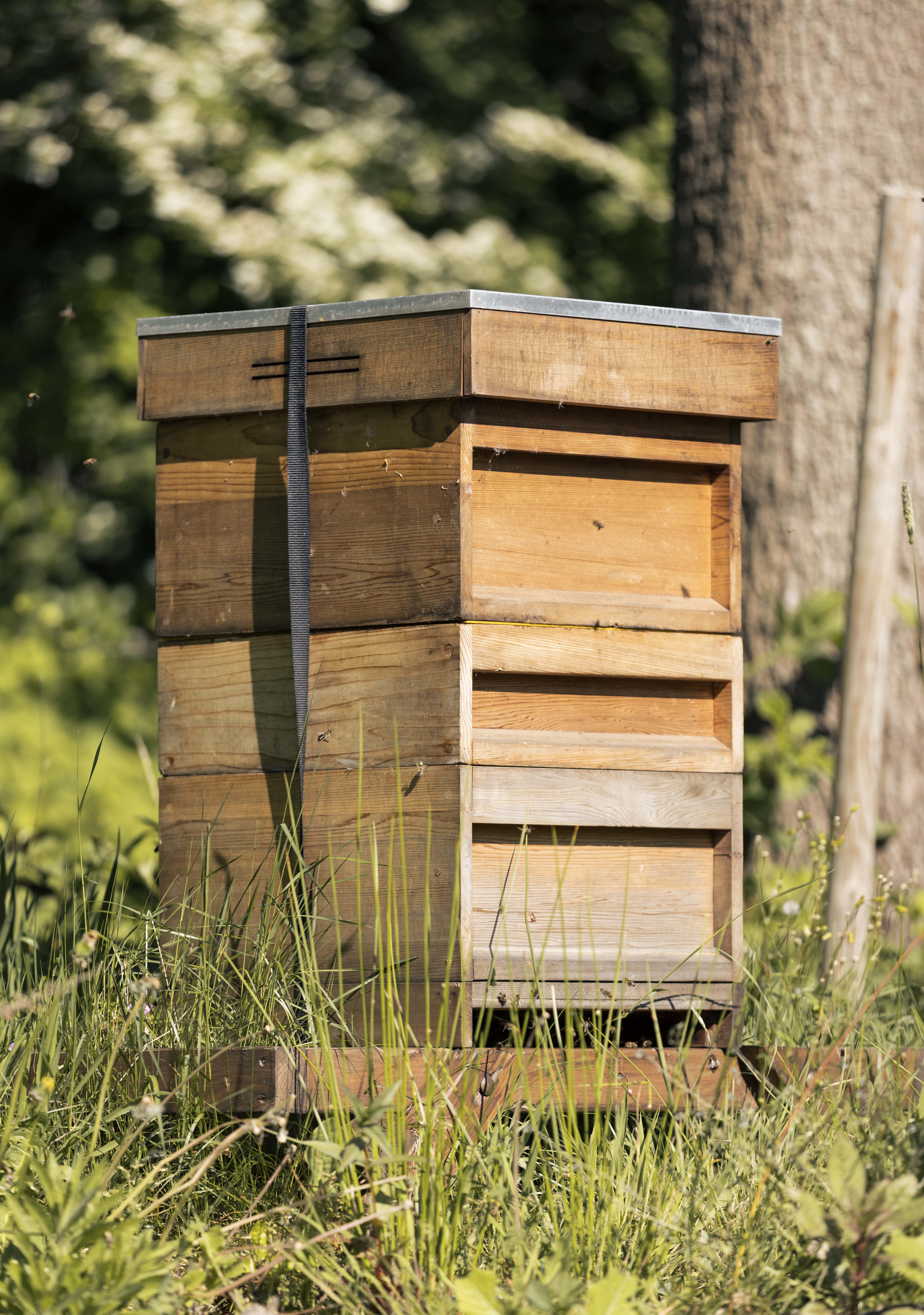 Onze bijenkast