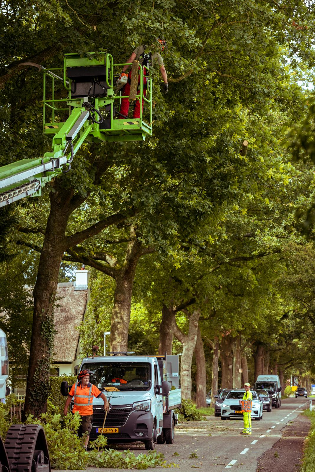 Onderhoudssnoei Onnen Gemeente Groningen 2025
