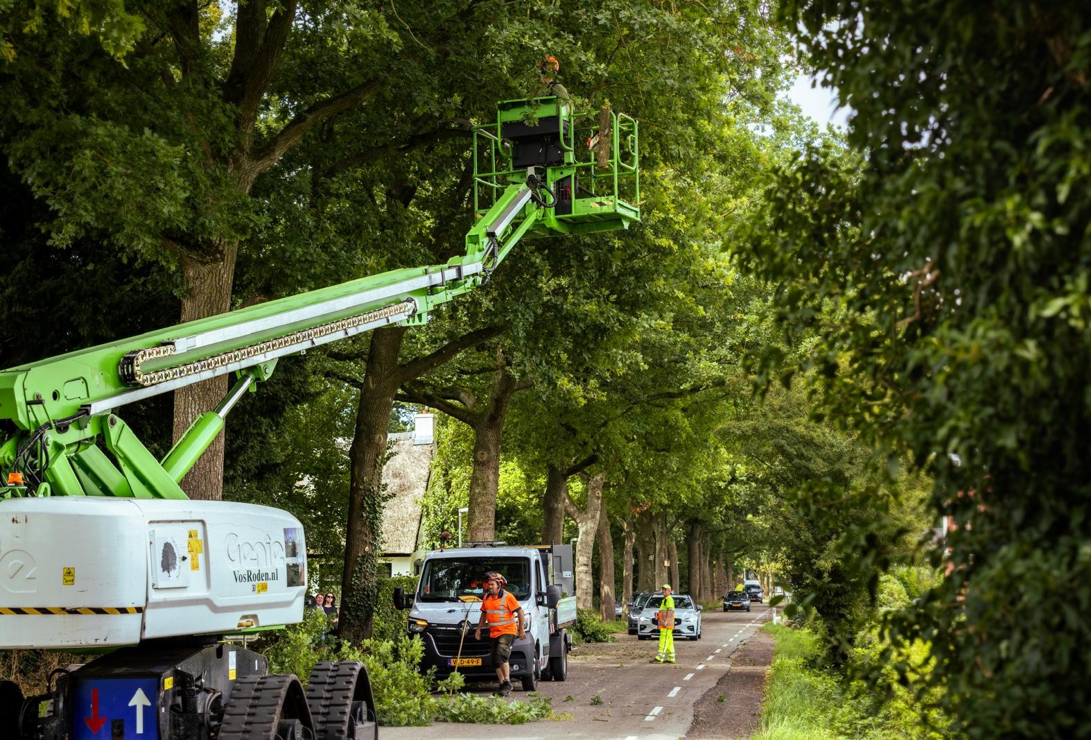 Onderhoudssnoei Onnen Gemeente Groningen 2025