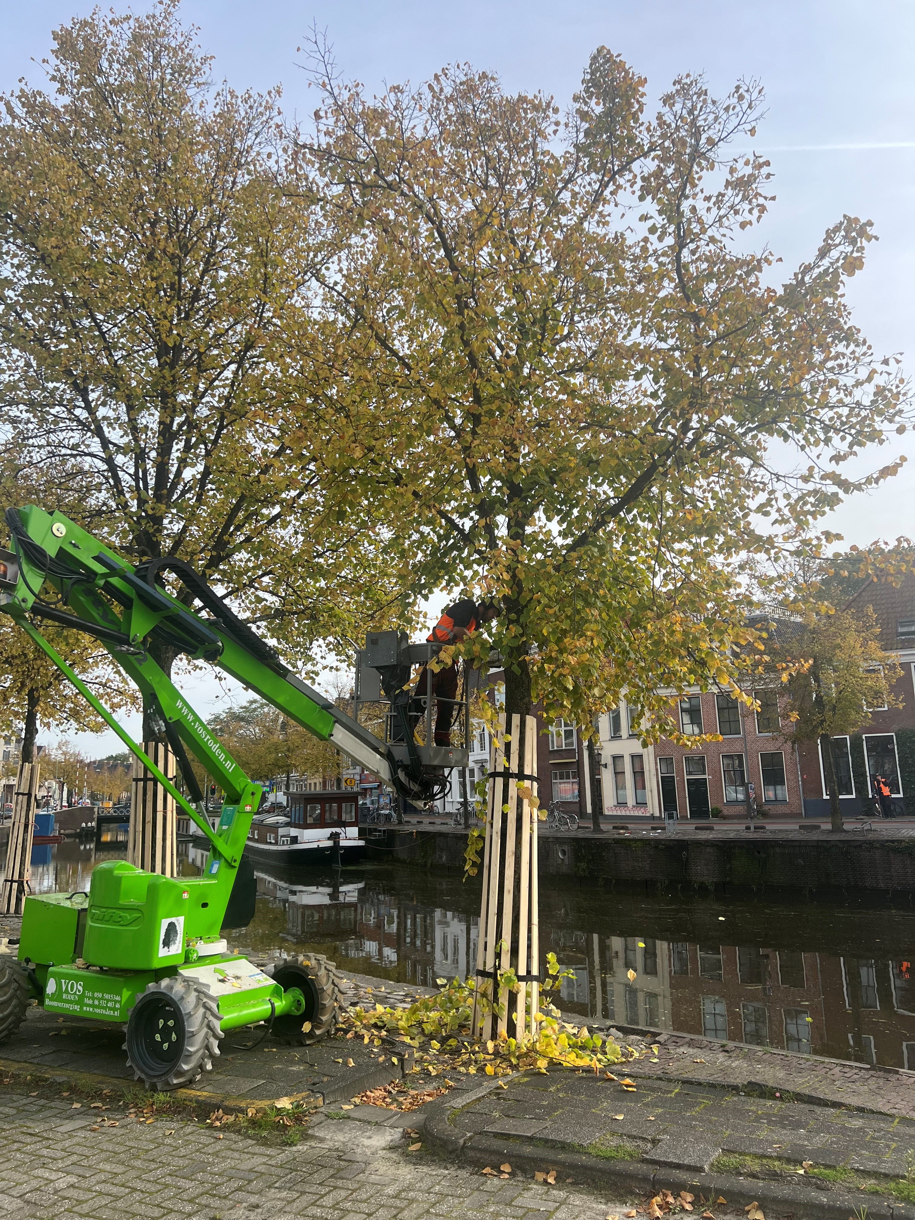 Snoeien in de Binnenstad Oost