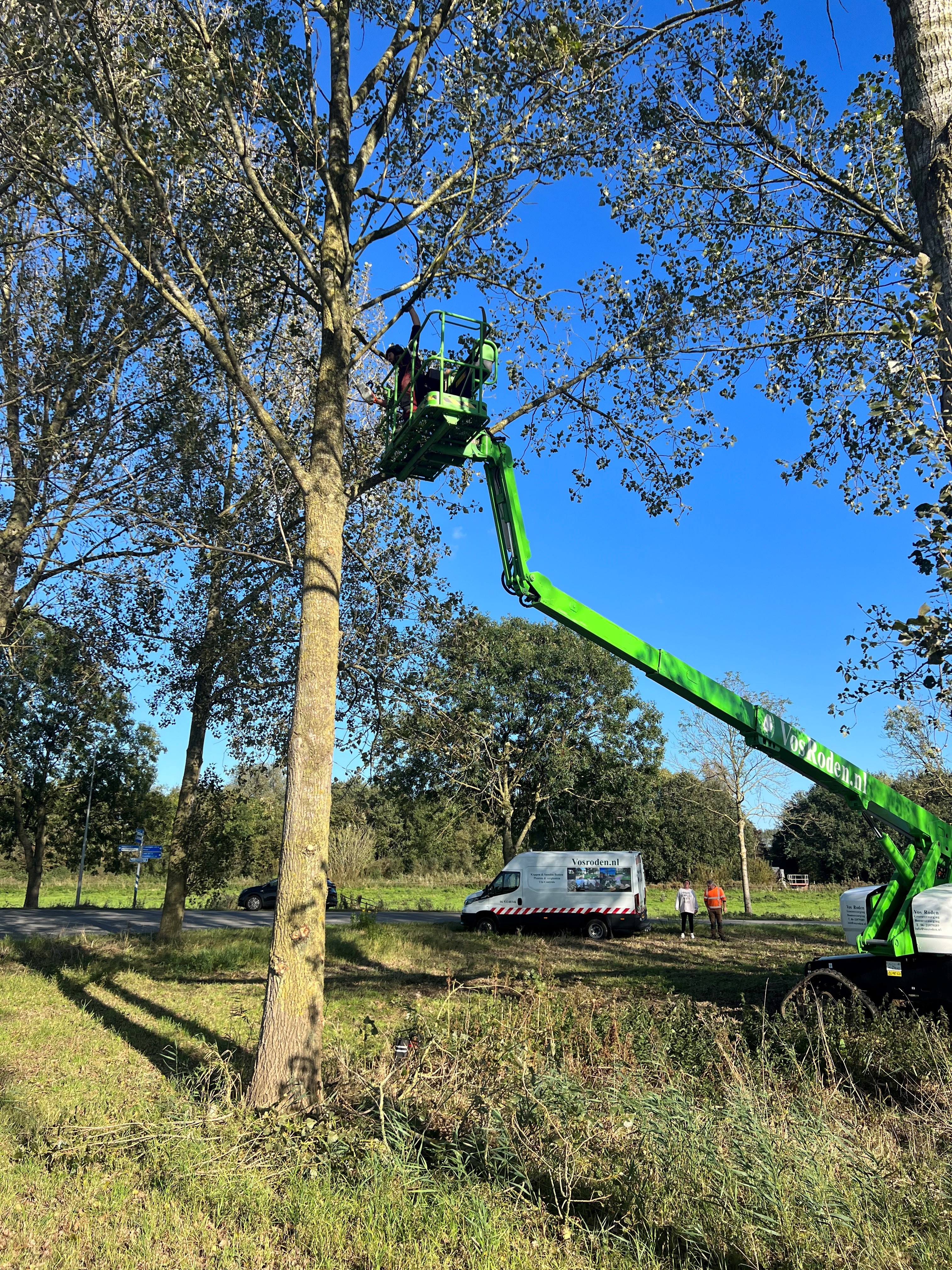 Snoeien in Vierverlaten en Westpoort