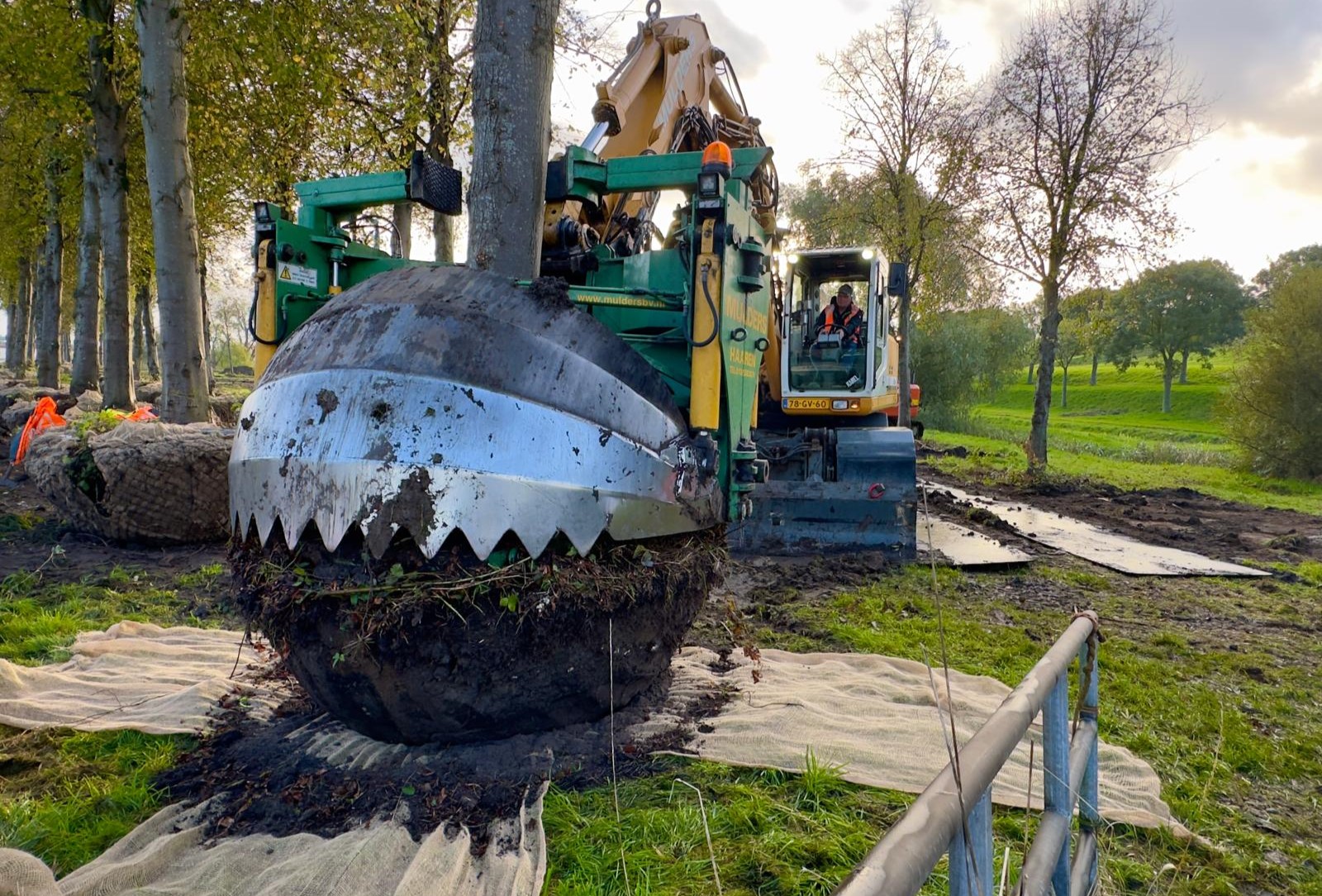 Verplanting Helperzoom 2025