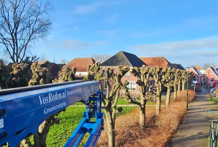 Vormsnoei wijken Oost en Ten Boer 2025
