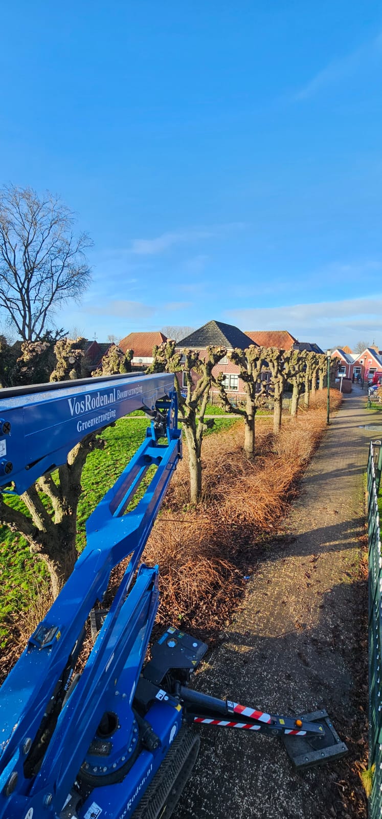 Vormsnoei wijken Oost en Ten Boer 2025