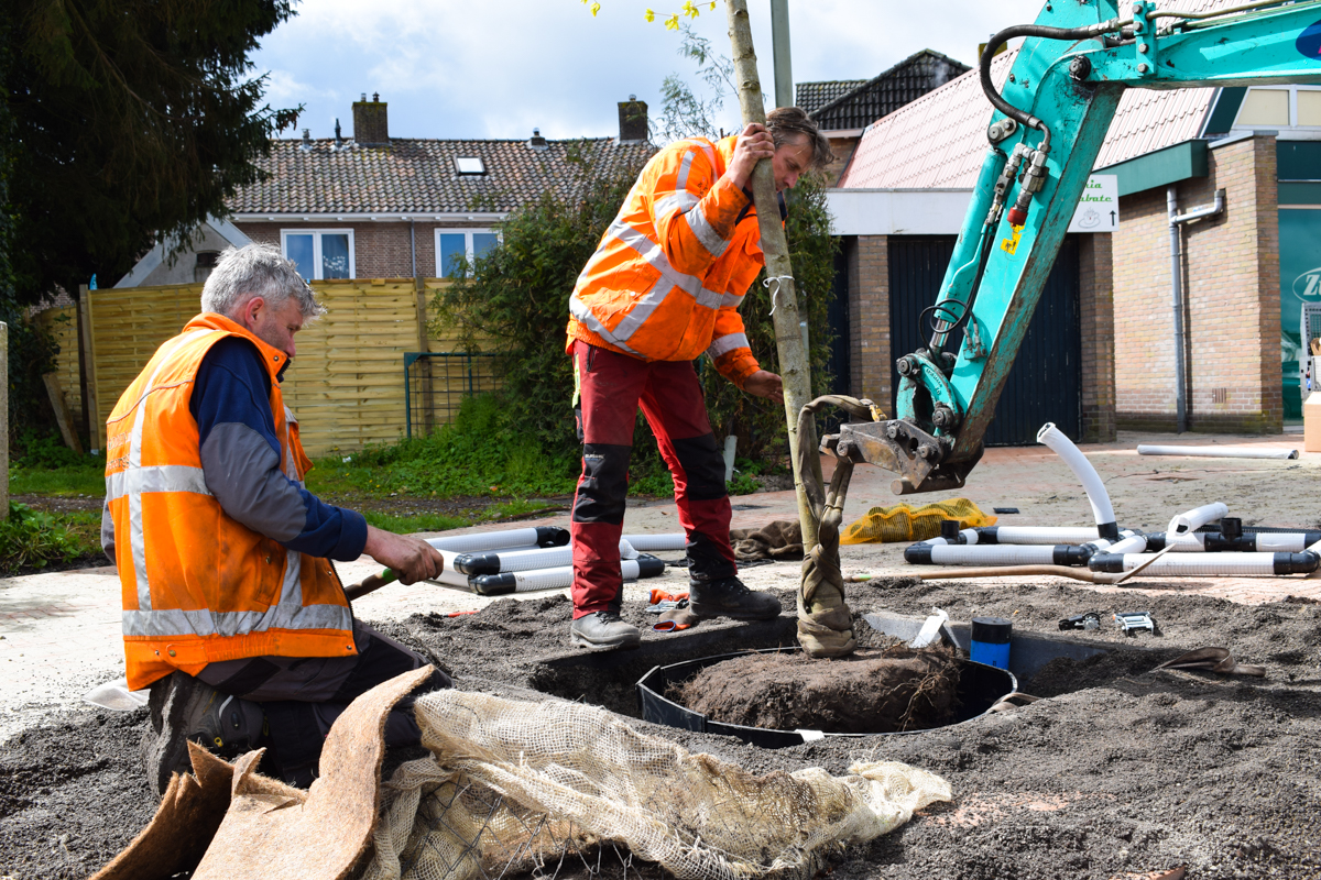 bomen planten vos