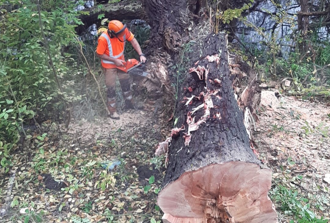 Kapprogramma in de wijken Haren, Ten Boer en Zuid